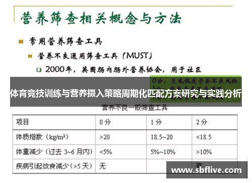 体育竞技训练与营养摄入策略周期化匹配方案研究与实践分析